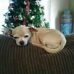 Candy Jackson-Obrien - @candyjacksonobrien - Instagram