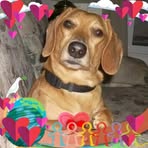 Candy Parker - Facebook