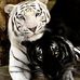 Candy Partain Parrish - Facebook