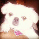 Candy Patterson - @candy_patterson - Instagram