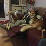 Candy Reynolds - @candy.reynolds.5 - Instagram