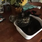 Candy Sharpe - Facebook