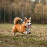 юлия стулева - @_candy.shine_ - Instagram