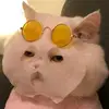 Candy<3 - @candyshine.00 - TikTok
