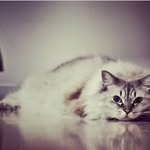 candysnow - @_candysnow - Instagram