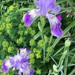 Candy Stevens - @candy.stevens.12 - Instagram