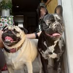Candy Stevens - @candy.stevens.5 - Instagram