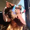 Candy.swanson - @candy.swanson - TikTok