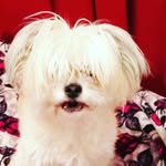 candy_tamayloverbff - @candy_tamayloverbff - Instagram