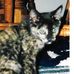 Candy Townsend - Facebook