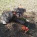 Candy Townsend - Facebook