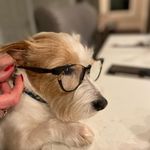Candy Fay Wagner - @candywagner - Instagram