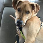 Candy Wagner Chance - @candywagnerchance - Instagram