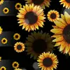 Candy Warren688 - @candywarren688 - TikTok