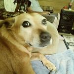 Candy Warren - @candy.carroll.56 - Instagram