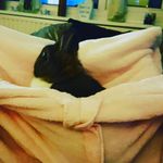 candy wheeler - @wheeler_candy - Instagram