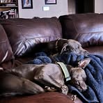 Candy Wilhite - Facebook