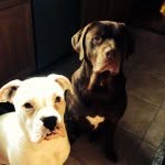 Candy_willhite - @copper0876 - Instagram