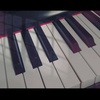 Candy_Zhao - @zx1206 - TikTok