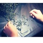 Candy zhao - @kc8188kc - Instagram