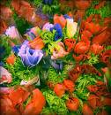Cannis Lam - Facebook