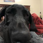 @_cannonbrown - Instagram