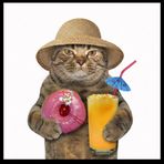 Cannon Brown - Facebook
