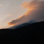 Cannon Herring - @cannons_flics05 - Instagram