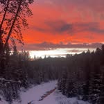 Cannon Huntley - @huntleycannon - Instagram