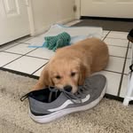 Murphy Cannon - @murphyboycannon - Instagram