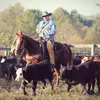 Cannon Smith - @smith_cannon - TikTok