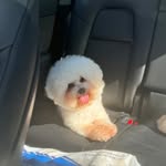 Canny Chan - @c.a.n.n.y.c.h.a.n - Instagram