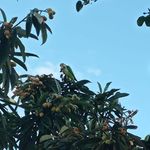 Cano Castro Estela - @estelacanocastro - Instagram