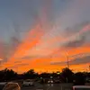 canon trill - @canon.hill - TikTok