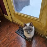 Sherri Christine Starr Canon-Hill - @sherr1hill - Instagram