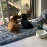 Cantrell Davis - @trae5183 - Instagram