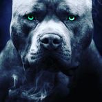Cantrell Mitchell - Facebook