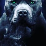 Cantrell Mitchell - @cantrellmitchell9 - Instagram