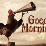 Washington Gordon - @canutegordon76 - Instagram