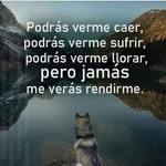 Canuto Perez - @perez_canuto - Instagram