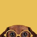 Canuto Sanchez - Facebook