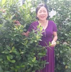 Cao Thị Vui - Facebook