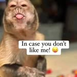 Kelly - @kellycapricorn4 - Instagram