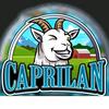 Caprilan - @caprilan1 - TikTok