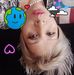 Capri Martinez - Facebook