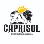 Cabanha Caprisol - @cabanha_caprisol_ - Instagram