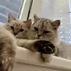 Capri Sole - @capri.sol - TikTok
