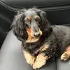 Capers_Capers - @caper_capers - TikTok