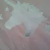 Ella Caprice Guy - @unicorn_baby_123 - TikTok