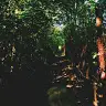 caprice_marshall - @caprice_marshall - TikTok